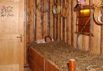 Hotel Ortles Cogolo di Pejo